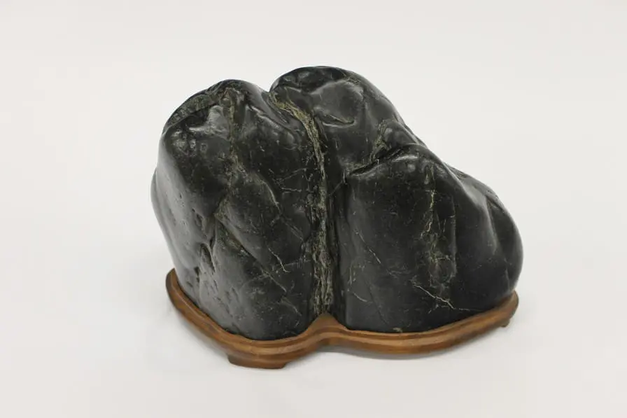 John Nishizawa_Takiishi_lo-res