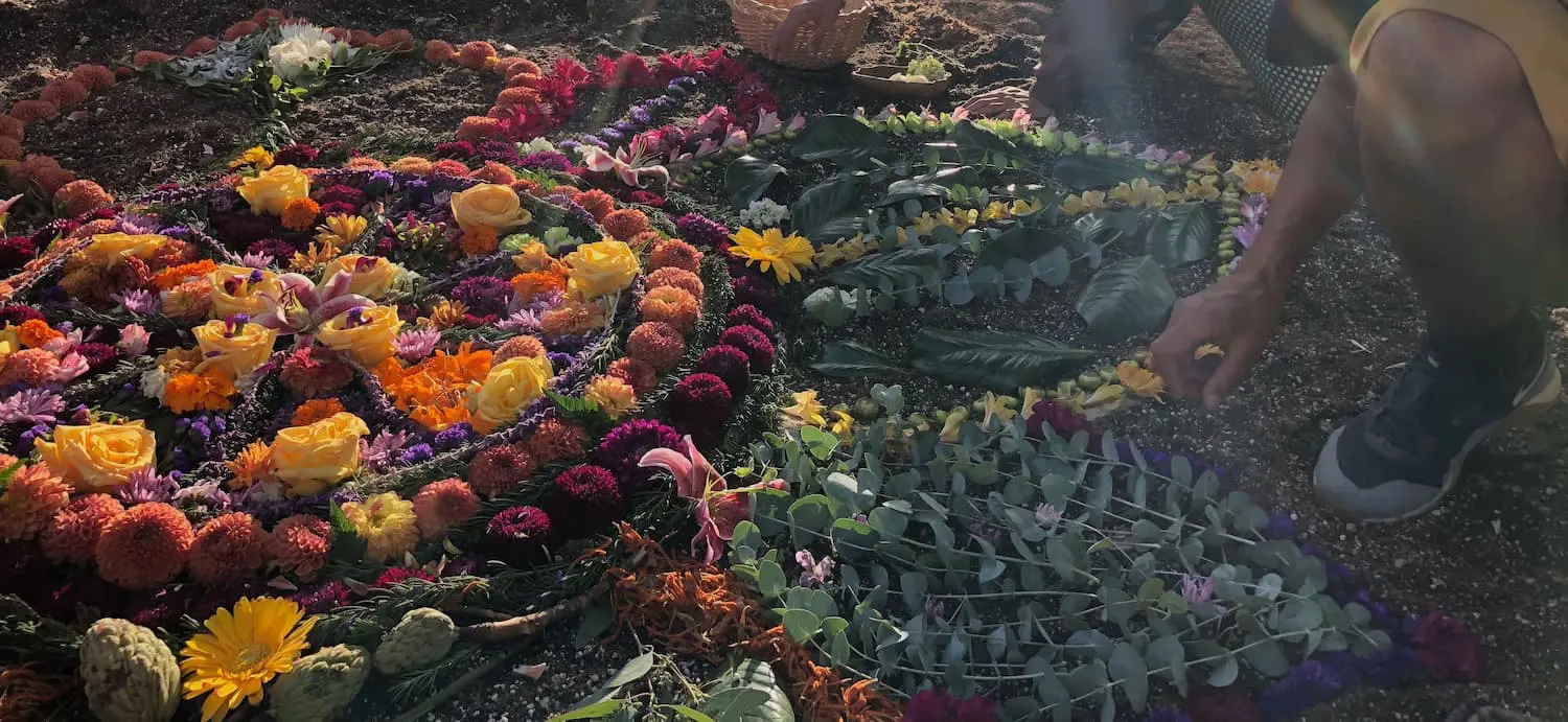 Paisaje vegetal curativo