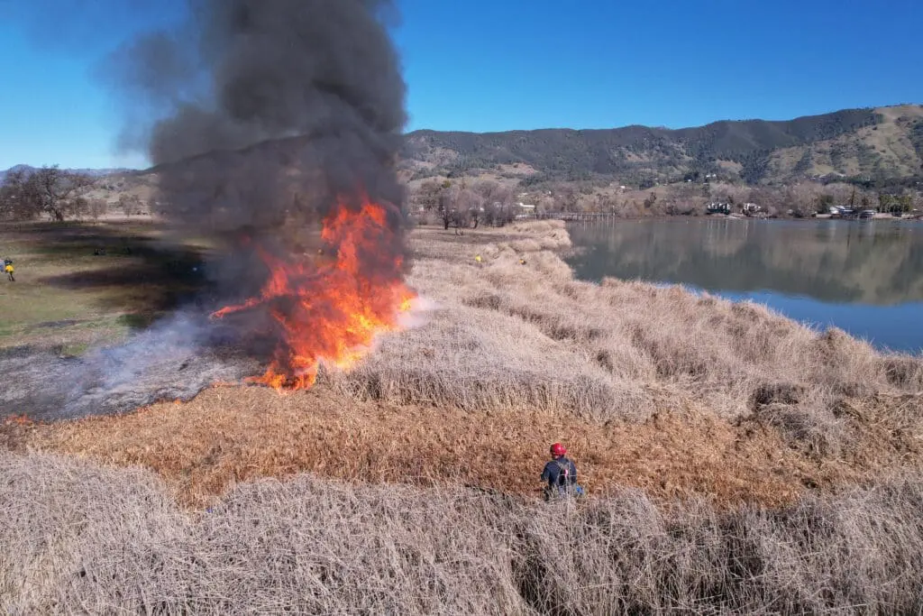 Tule burn in Clear Lake
Credit: Jesus Campanero (Pomo), 2022, Reproduction courtesy of Jesus Campanero, Tribal Council Member, Robinson Rancheria / Board of Directors, Tribal EcoRestoration Alliance