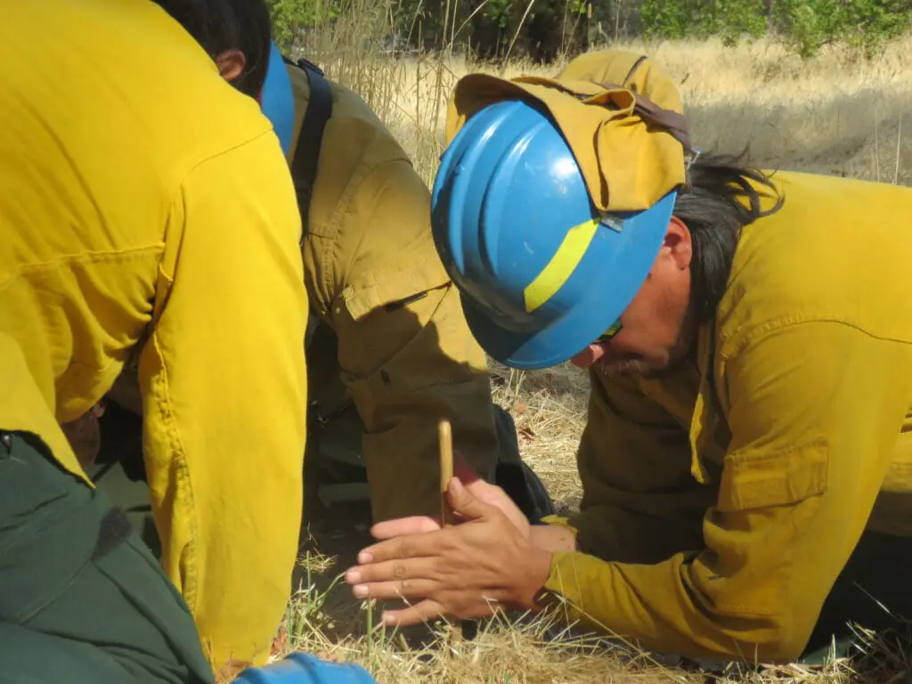 Will Smith (Stewarts Point Rancheria), Xavier Jack (Big Valley Band of Pomo Indians), and Martin Duncan (Robinson Rancheria) start a fire with a friction kit, Michelle Cone, 2024, Courtesy of the Tribal EcoRestoration Alliance