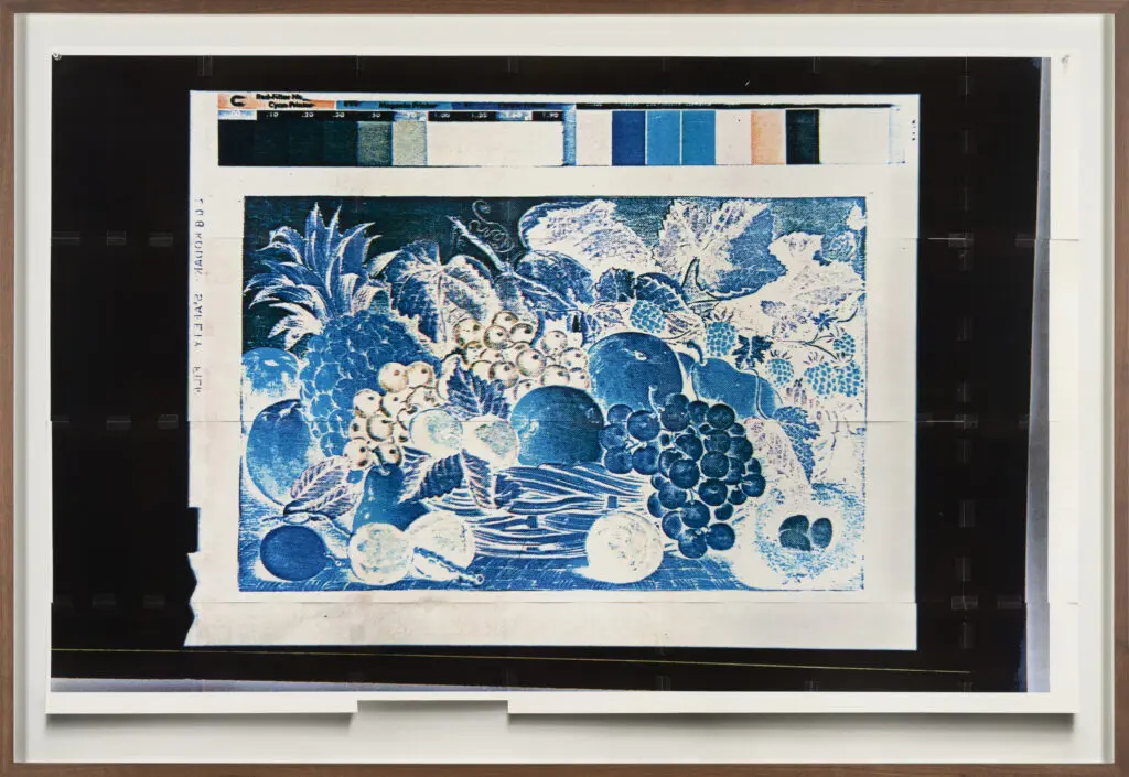Stephanie Syjuco. «Fruits of Plenty: Inverted/Oriental» (Colección Warshaw de «Business Americana», circa 1900, Museo Nacional de Historia de Estados Unidos, Centro de Archivos, NMAH.AC.0060.S01.01.Warshaw), 2021. Impresión digital de archivo. 41 x 60 pulgadas. Enmarcada. Museo de Arte Frye, adquirida con fondos donados por Doug Carmean y Margie Morris, 2024.008.01. Foto: Jueqian Fang