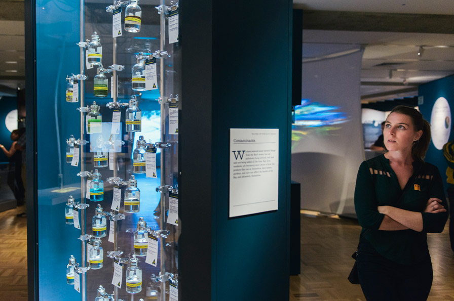 The Below section of the Gallery focuses on the ways humans have shaped and shifted the Bay, including this illuminated display case, featuring bottles displaying the various contaminants found in the waters of the San Francisco Bay. Photo: Shaun Roberts. Courtesy of Oakland Museum of California.