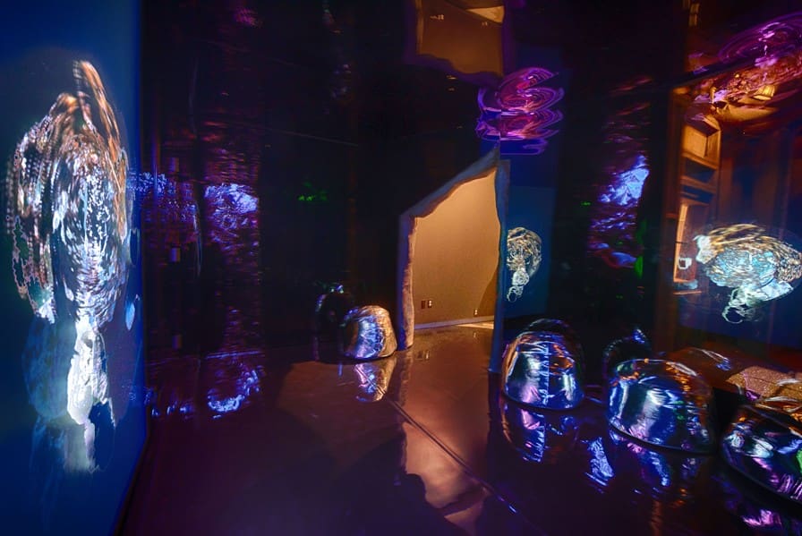 Queer Nature in Transdimensional Space - Oakland Museum of California ...