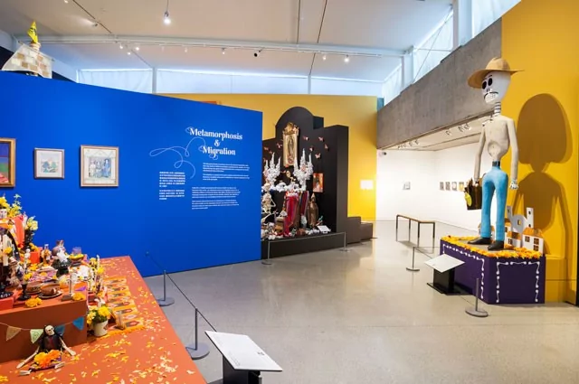 Metamorphosis-Migration-Oakland-Museum-of-California-2017_web5