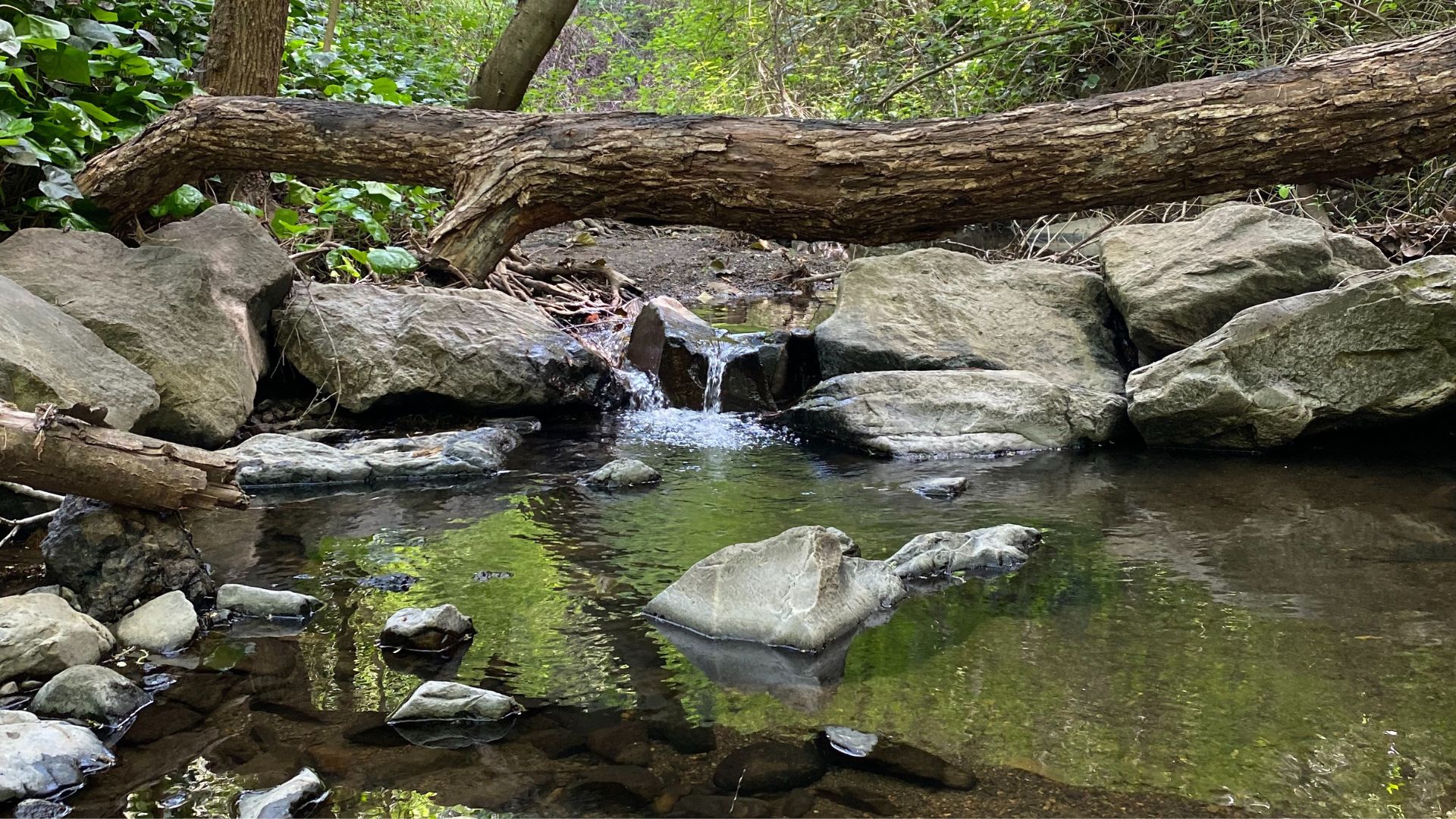 Water and rocks in Sausal Creeks