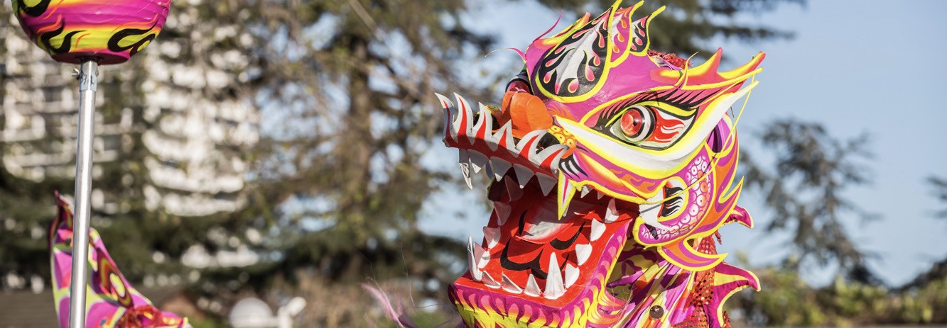 邦楽 Homecomings another new year Photos: Celebrating Lunar New Year in Chicago – Chicago Tribune