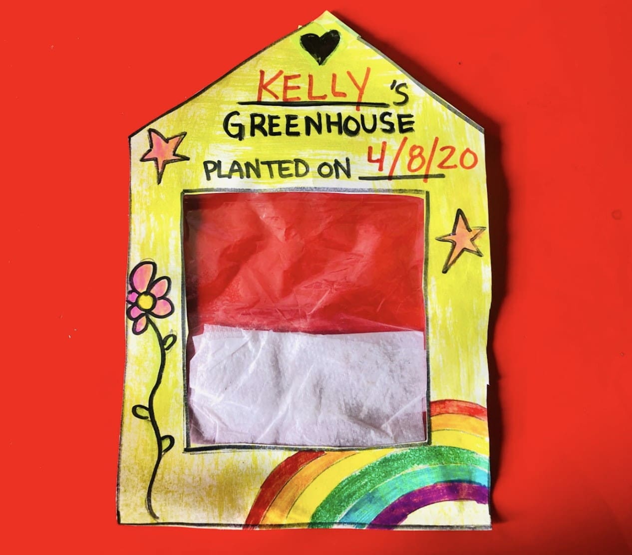 Make a greenhouse: What can you grow? - Oakland Museum of California (OMCA)