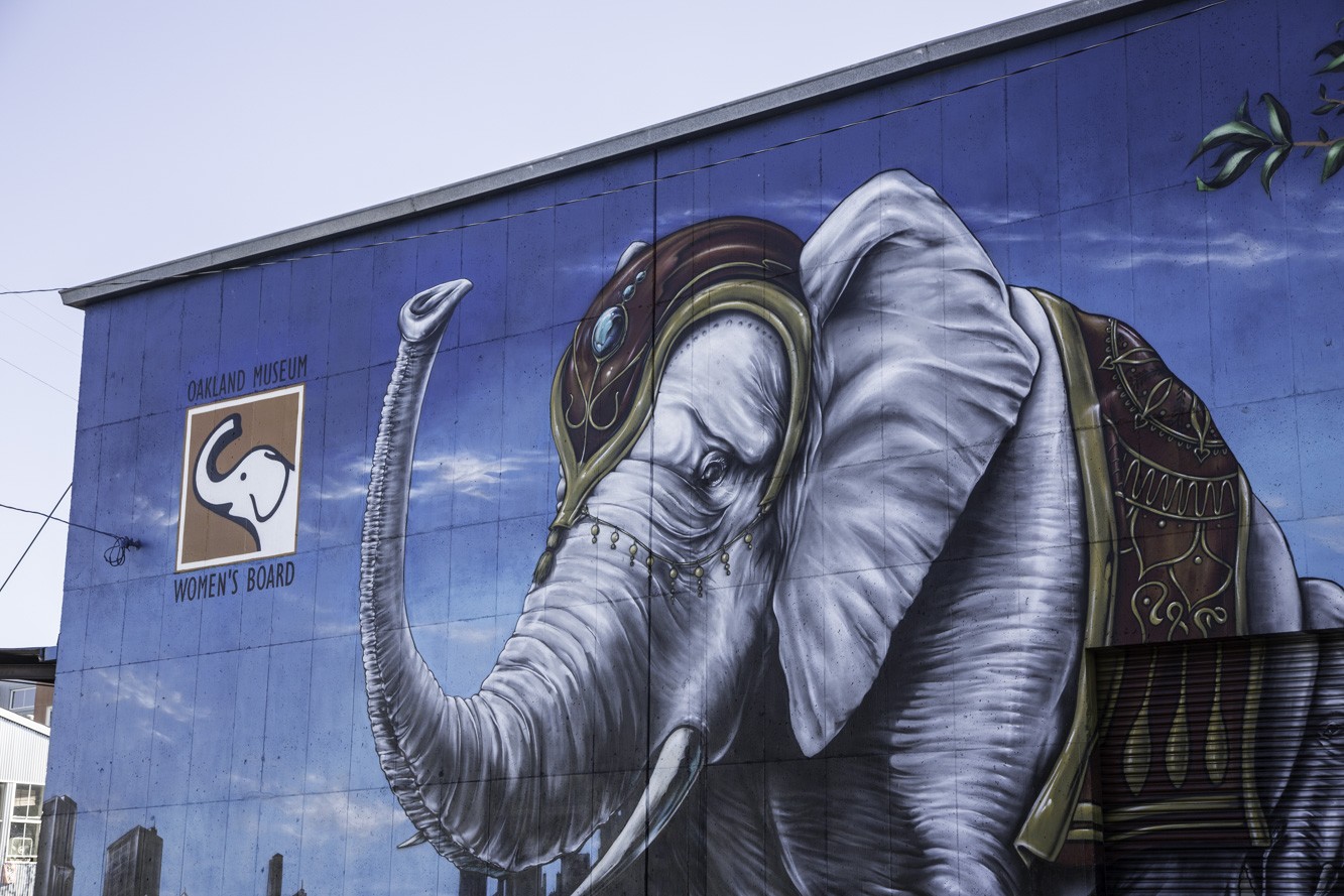 Logotipo de la Venta del Elefante Blanco en el edificio