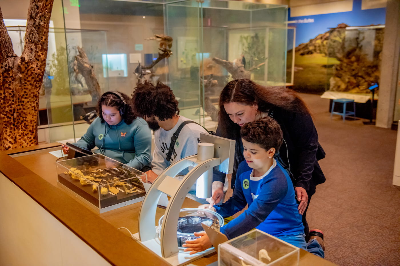 Family interacting with the gallery of natural sciences