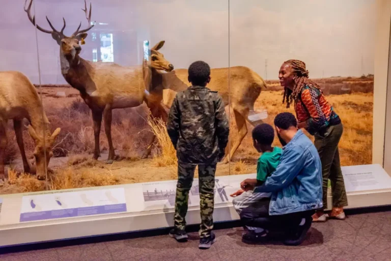 Oakland Museum of California photo from the official site