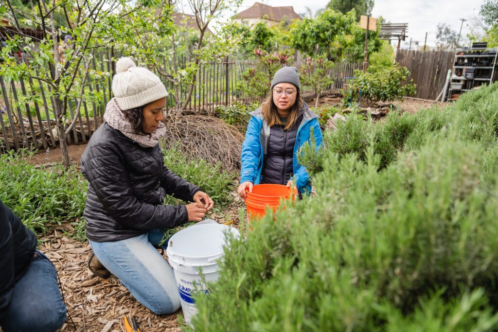 Spotlight Sundays: Earthseed Screening with People’s Kitchen Collective and Emory Douglas