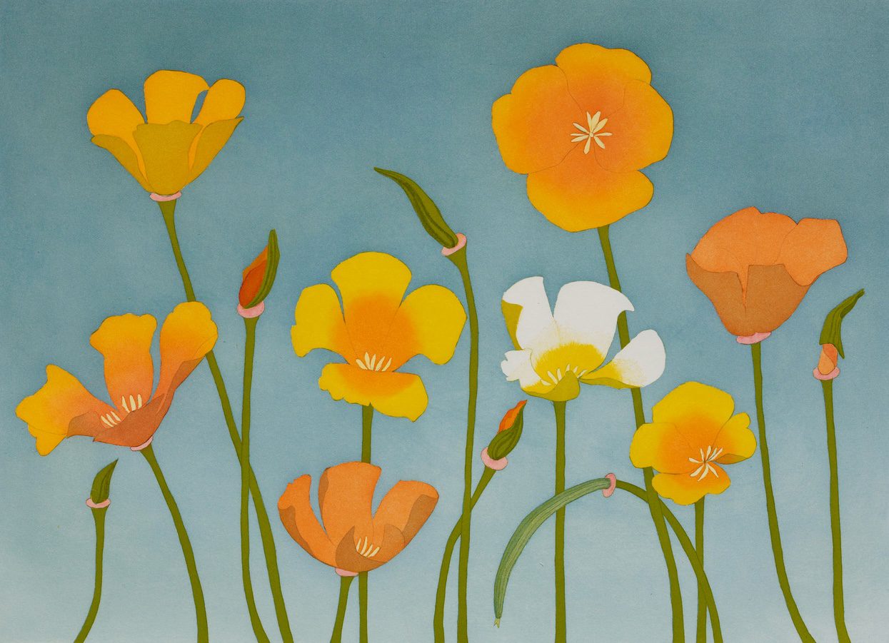 Collection object featured in Radical Blooms: The Unexpected Power of Flowers